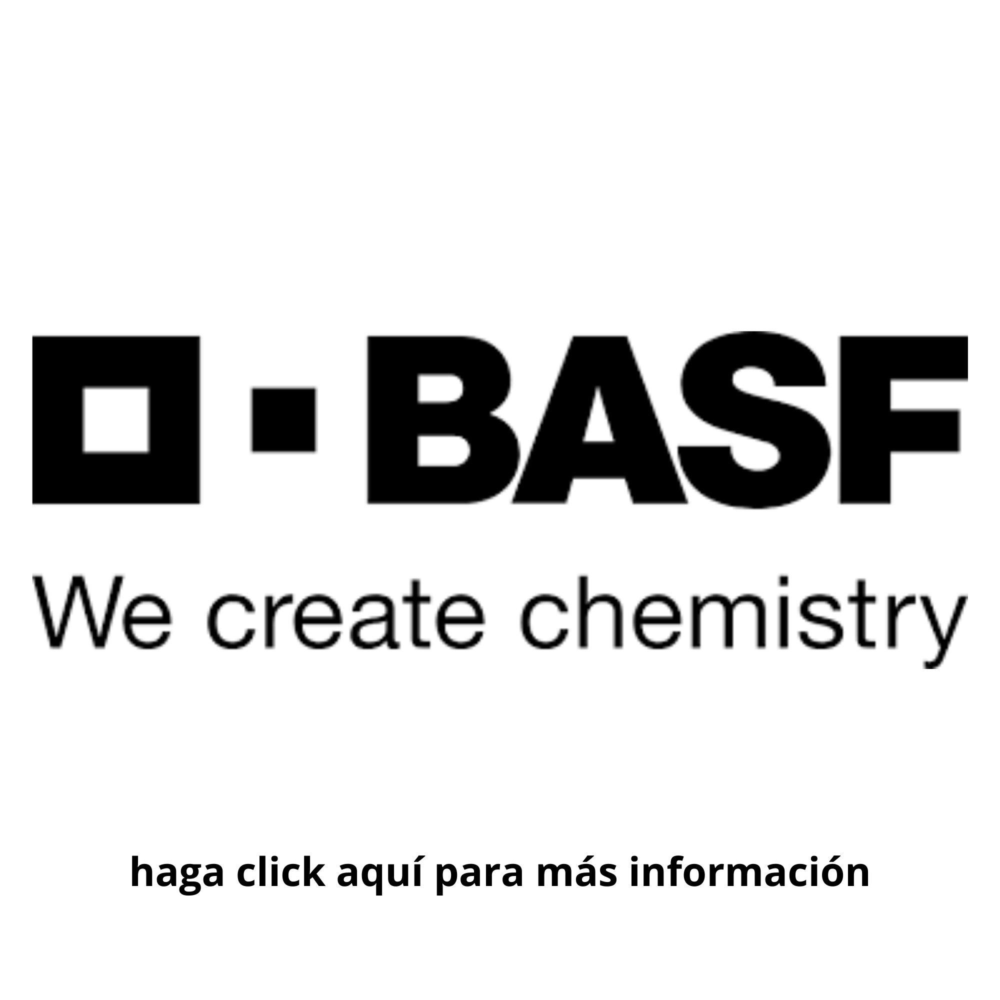 LOGO BASF