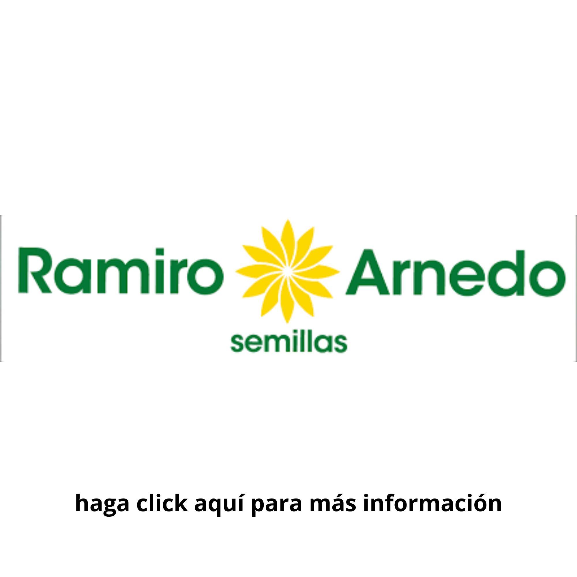 logo Ramiro Arnedo