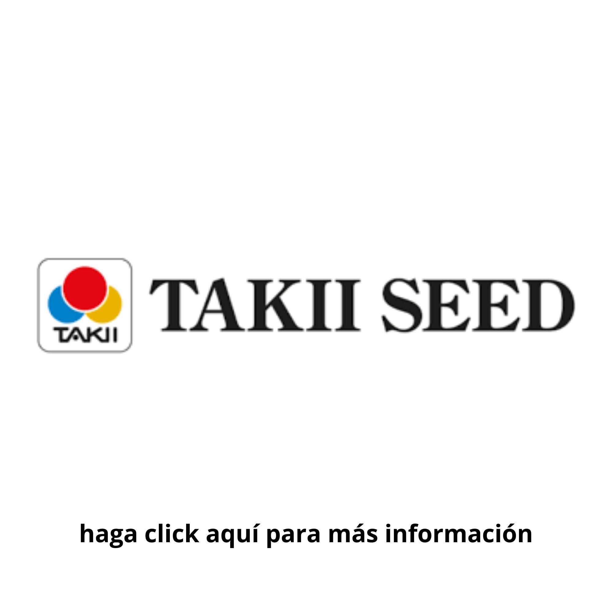 logo Takii